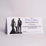 Plicuri de dar nunta si botez 01