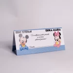 Plicuri de dar botez gemeni personaje disney