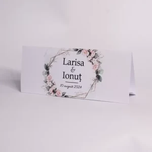 Home 25 Plicuri de dar nunta alb, verde si roz